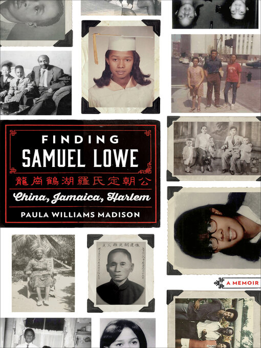Title details for Finding Samuel Lowe by Paula Williams Madison - Wait list